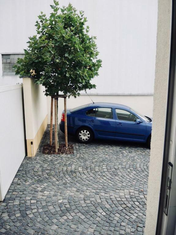 Modernes Apartment - Neustadt/Weinstrasse Stadt Neustadt an der Weinstraße Extérieur photo